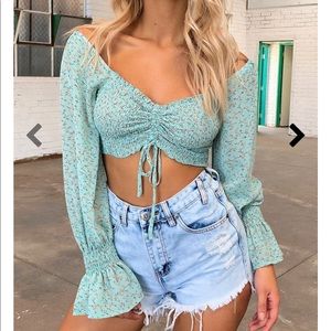 Beagle Crop - Green Floral